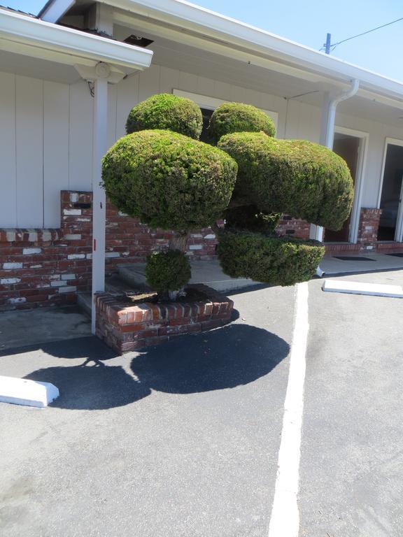 Old Marina Inn Exterior foto
